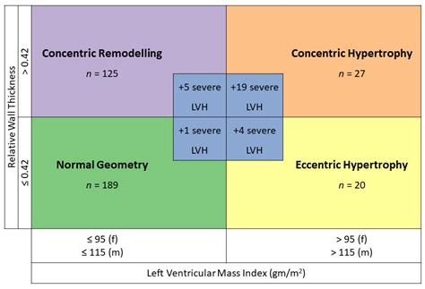 lvh criteria on echo